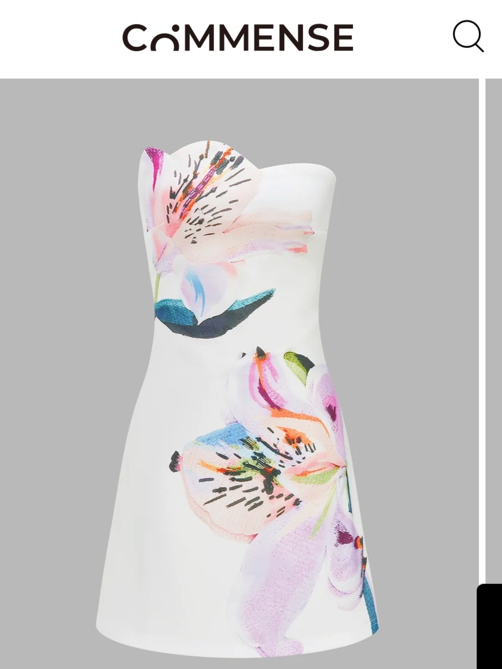 Subcategory selection for women's dress image